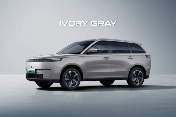 IVORY GRAY